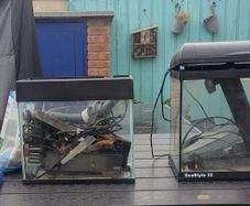 Fish tanks