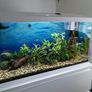 aquariums Image 2