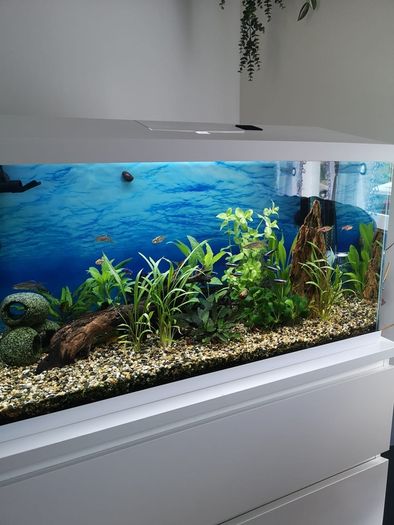 aquariums