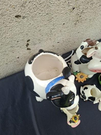 By post only lovely collection of cows