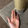 Cat Scratching Post Image 3