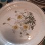 arklow dinner set Image 8