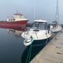 Bayliner Trophy 2052 & Trailer Image 8