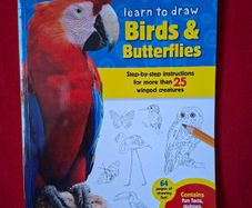 Learn To Draw Birds & Butterflies Book
