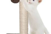 FREE EXPRESS SHIPPING Large Cat Scratching Post Cat Tree Post Tree 42cm Brown