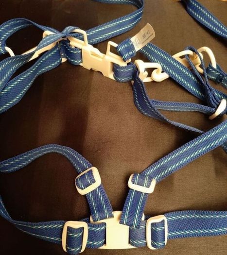 New vintage childs harness & Reins