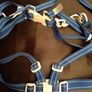 New vintage childs harness & Reins Image 9