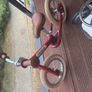 balance bike Image 2