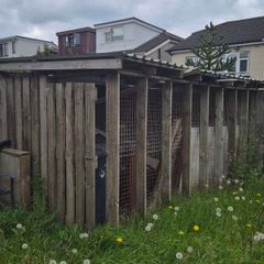 dog run