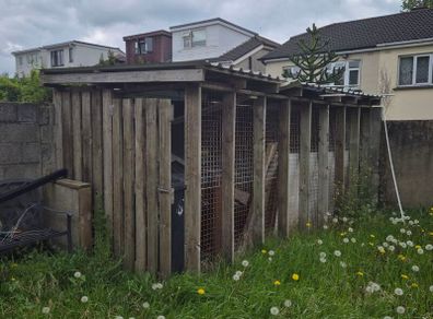 dog run