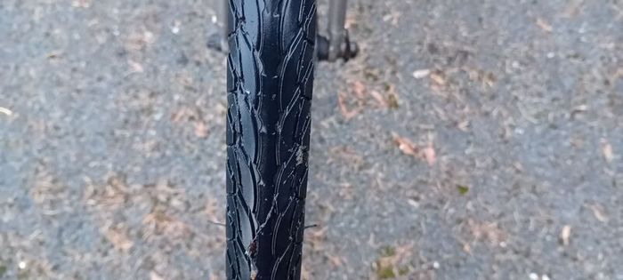 Ladies Bicycle Giant
