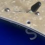 Fender telecaster Oak Grigsby 3-Way lever switch for Fender Telecaster electric guitar parts accessories Image 2