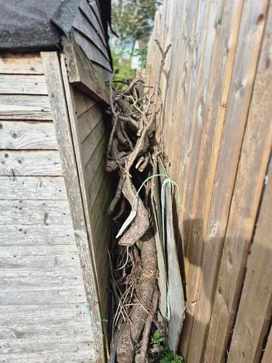 free fire wood or shed for someone