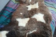 Genuine Sheepskin