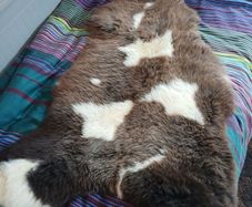 Genuine Sheepskin