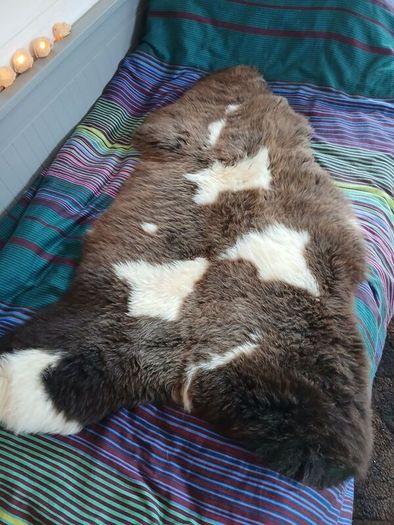 Genuine Sheepskin