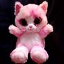 TY teddy Image 2