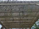 Pergola Decking Shed  Fencing Gate Image 10