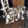 antique chandelier Image 9
