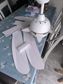 ceiling fan light