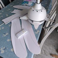 ceiling fan light