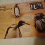 Penguins Jigsaw Book for Sale Image 5