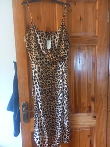 ladies dress riverisland