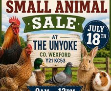 Poultry, Bird and Small Animal Sale