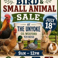 Poultry, Bird and Small Animal Sale