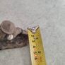 Vintage Mudmen Chinese Man Bird Clam Miniature Clay Figurine Asian 2" high Image 5