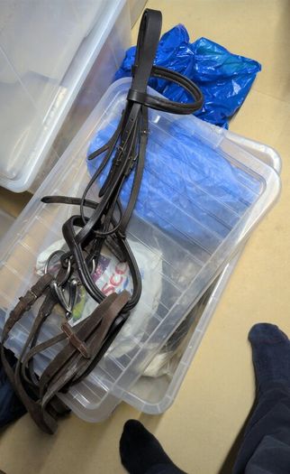 bridle