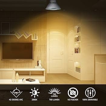 FREE SHIPPING Halogen Bulbs 50W Dimmable, 220V GU10 Halogen Spotlight Bulbs 2 Pi2800K Warm Up 700 Lumens 42 Degrees Beam Angle