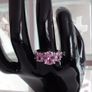 Ring Image 2