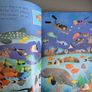 Lonely Planet Lets Explore Ocean activity book Image 3