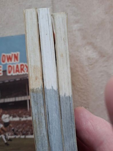 Vintage  1970's Daily Mirror Soccer Goal Action Replay Flip  Books Rare !  Flip The Pages And Watch A Goal Replay From The 1970's