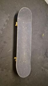 globe skateboard