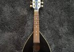 Mandolin