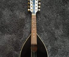 Mandolin