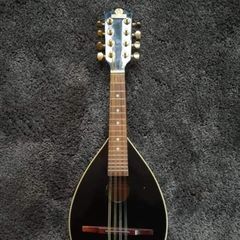 Mandolin