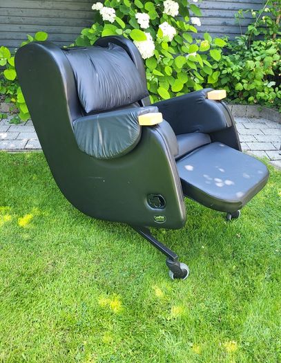 CareFlex Mobility/Recliner Chair