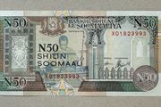 Somalia 50 Shillings 1991 Banknote