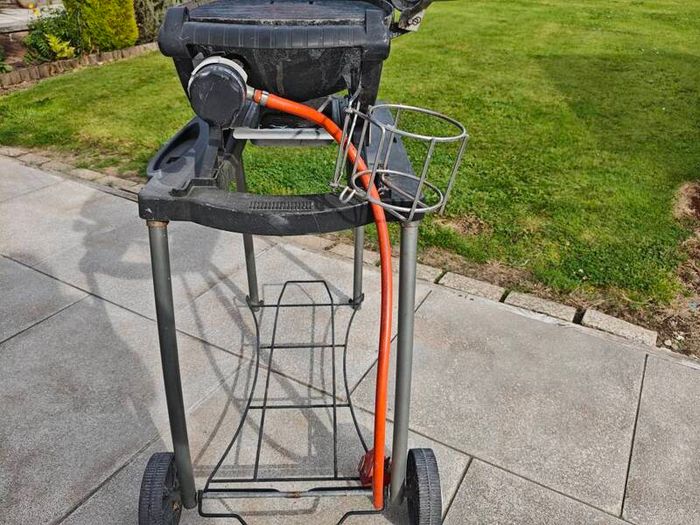 Weber Q1000 Gas BBQ