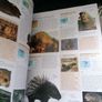 Animal: The Definitive Visual Guide - 1st Edition Image 7
