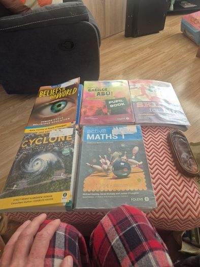 Junior Cycle School Books Bundle - 5 Core Textbooks (Maths, Irish, Geography, RE, Home Ec)