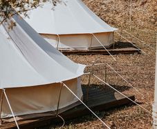 Short Guy Poles Full Set of 60 cm - Compatible with Bell Tents - New