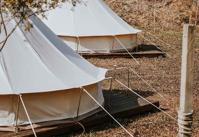 Short Guy Poles Full Set of 60 cm - Compatible with Bell Tents - New