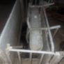 Sheep turnover crate Image 3