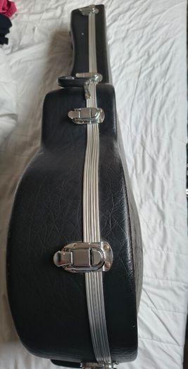 Stunning Guitar Hardshell case