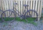 ladies and gents bikes