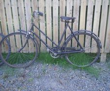 ladies and gents bikes